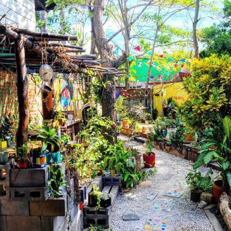 Simon Says Smoothie Bar